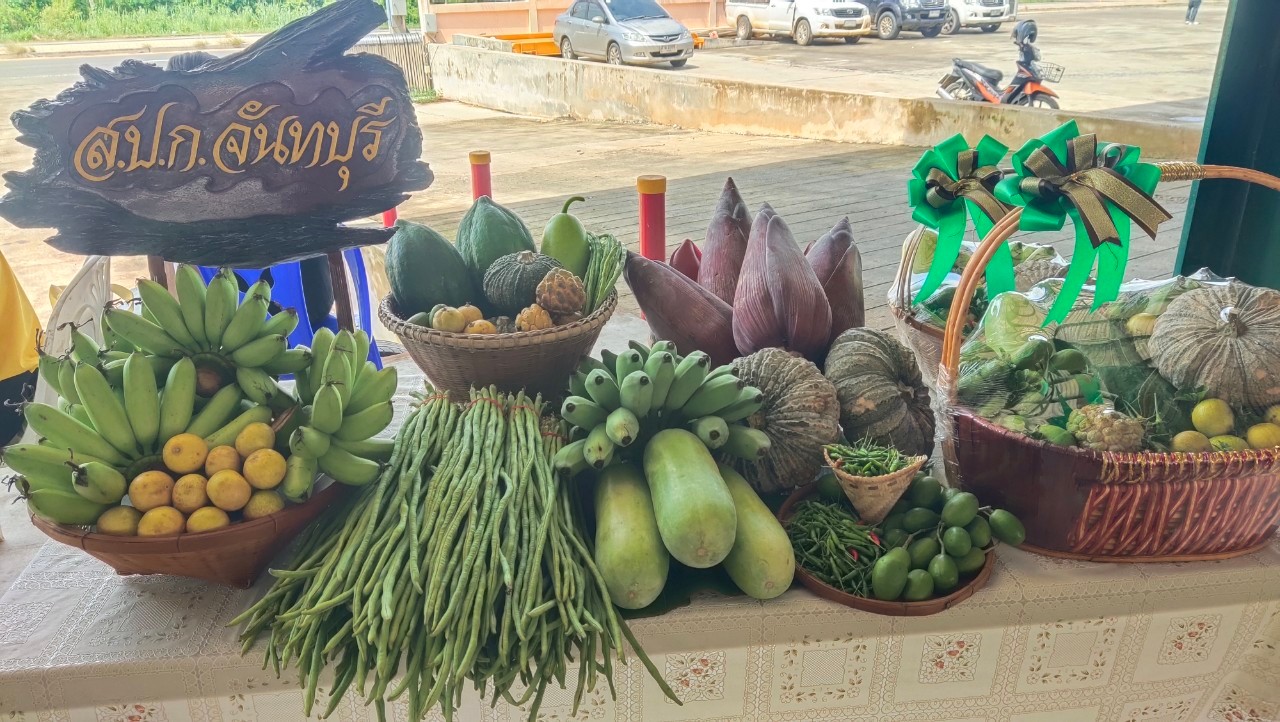 title - ส.ป.ก.จันทบุรี ร่วมลงพื้นที่ติดตามคณะรัฐมนตรีว่าการกระทรวงเกษตรและสหกรณ์ (ร้อยเอกธรรมนัส พรหมเผ่า)